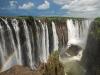 Victoria Falls